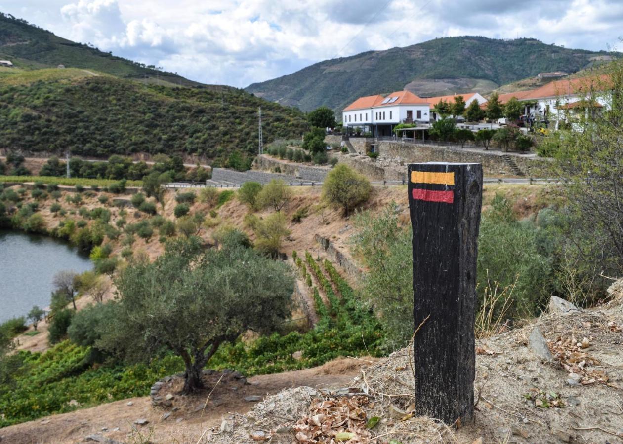 Bed and Breakfast Quinta Do Tedo Folgosa  Экстерьер фото