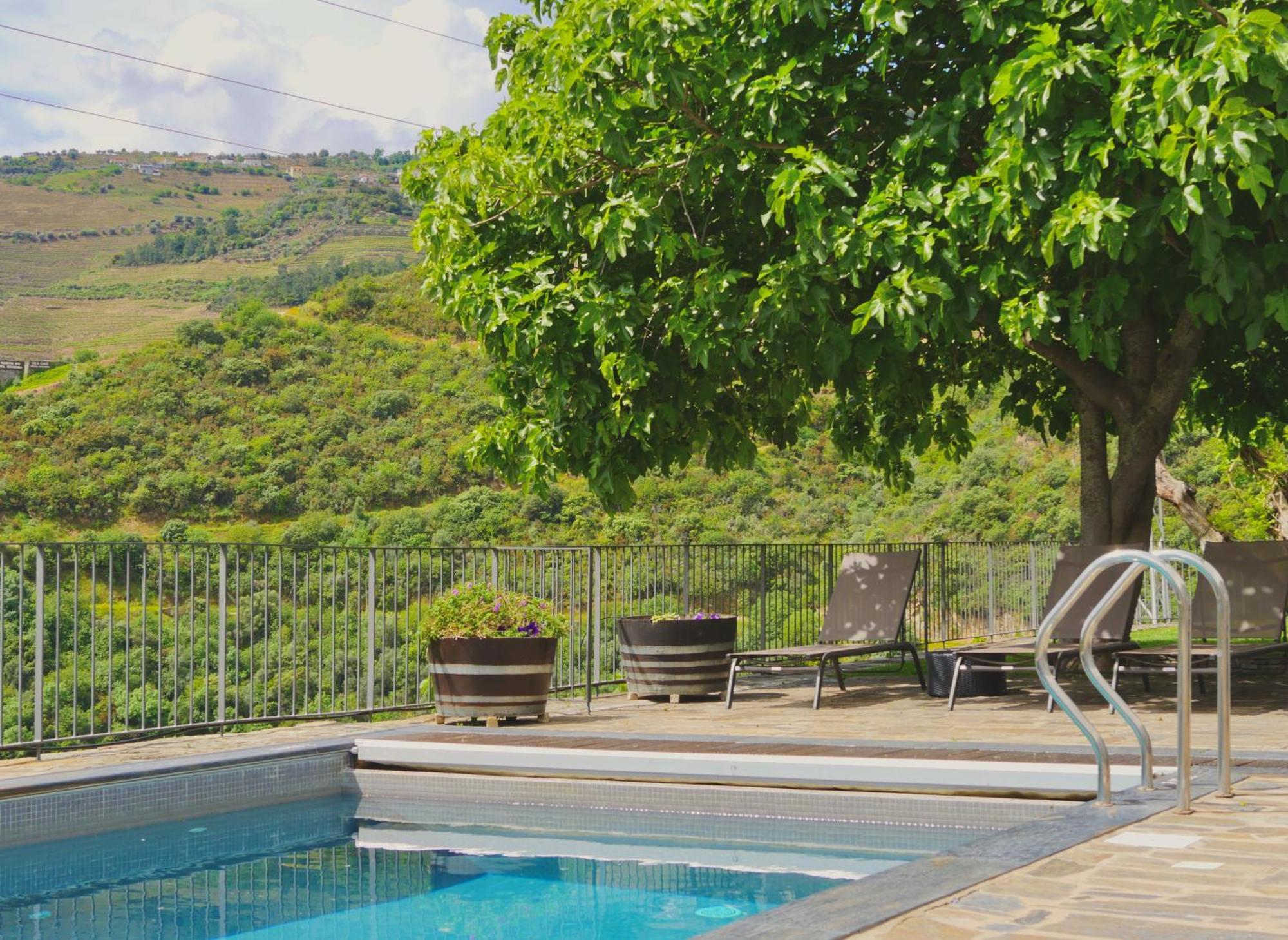 Bed and Breakfast Quinta Do Tedo Folgosa  Экстерьер фото