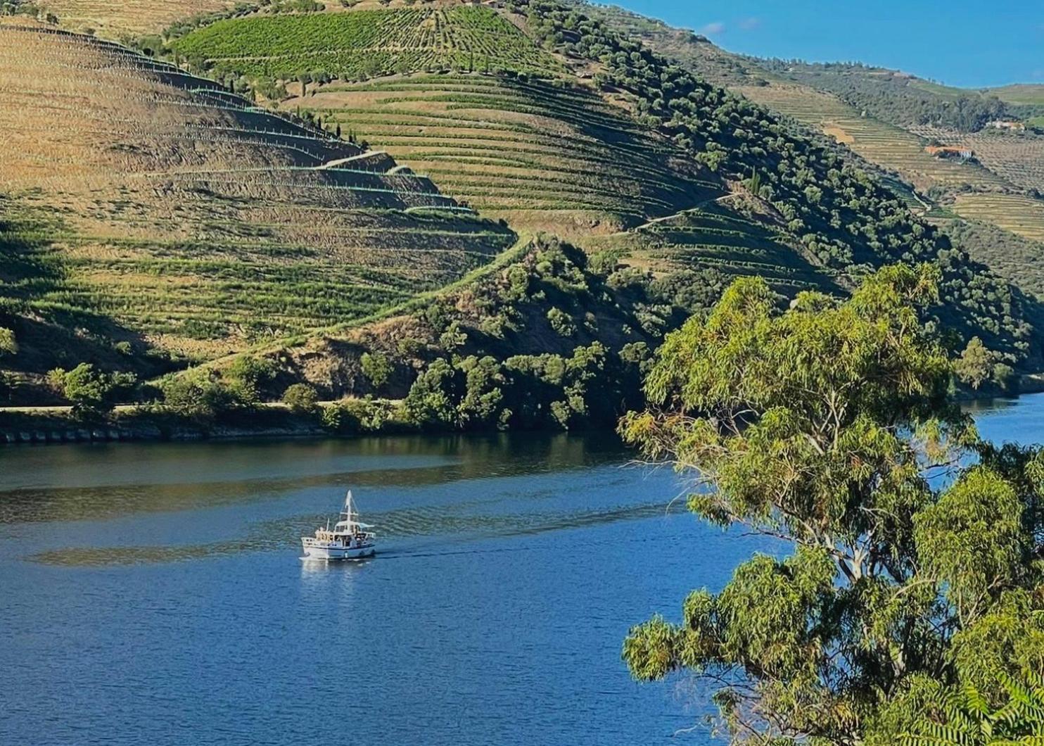 Bed and Breakfast Quinta Do Tedo Folgosa  Экстерьер фото