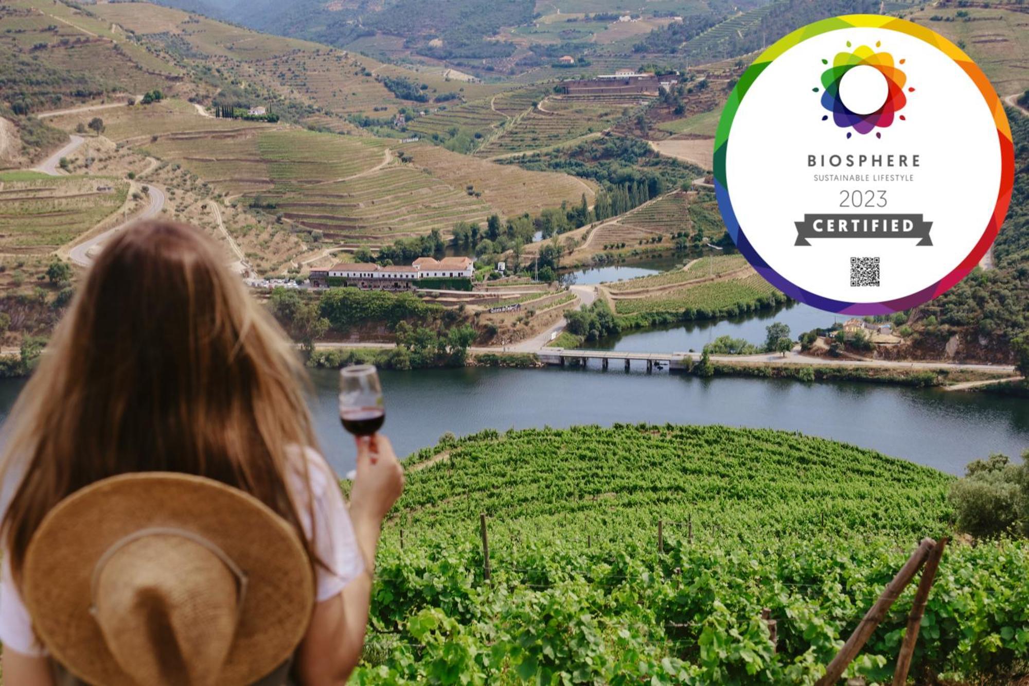 Bed and Breakfast Quinta Do Tedo Folgosa  Экстерьер фото