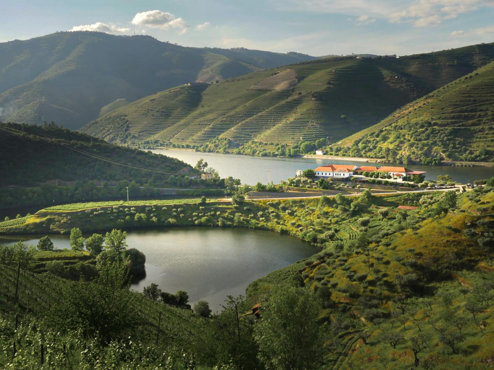 Bed and Breakfast Quinta Do Tedo Folgosa  Экстерьер фото
